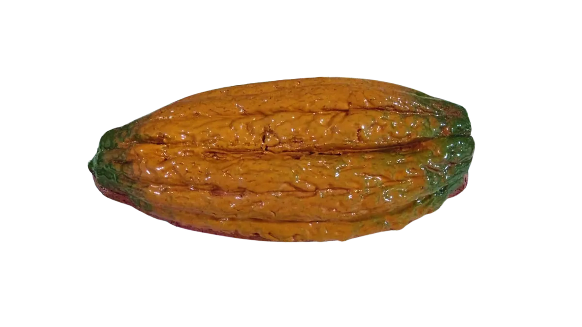Plato cacao, foto 2